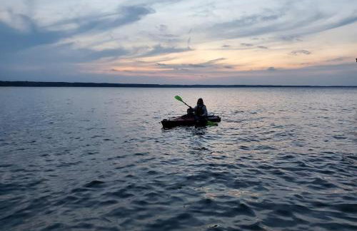 Heron Cottage on Cayuga Lake - Foto 49