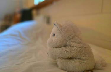 Camembert & Crustacés - Foto 40