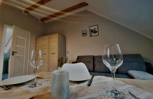 Apartament nad jeziorem WELLE - Photo 11