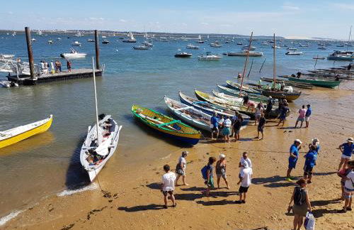 Salamandre et Hippocampe - Foto 42