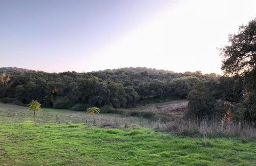 Cercado Forero - Foto 35