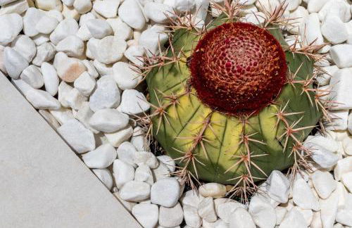 TESS Villa Monica - Photo 49