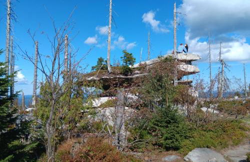 Haus Annemarie - Foto 15