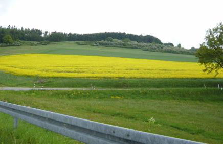 Ferienwohnung Haus Edelweiss - Foto 22