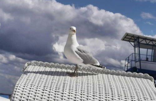 Ferienwohnung Kornblume - Foto 32