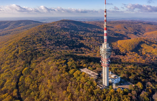 Moose Cabin With A Panoramic View - Foto 26