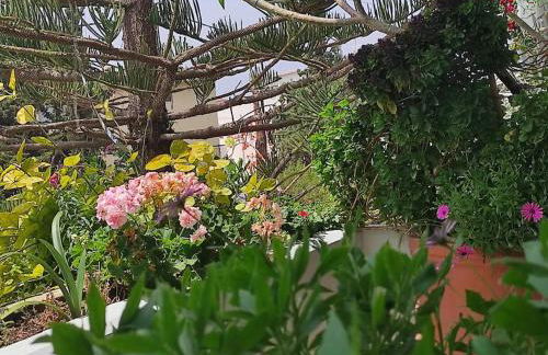 Annitas luxury oasis appartment - Foto 35