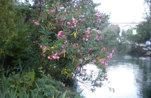 Appartement à FONTAINE DE VAUCLUSE - Foto 23