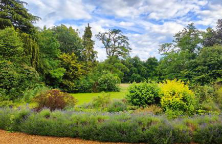 Royal Racing Retreat in Newmarket - Foto 3