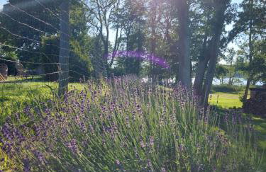 Zakatek Mala-apartamenty nad jeziorem - Foto 57