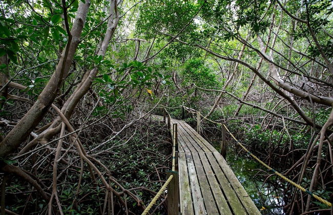 South Coast Horizons - Photo 77