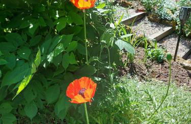 Ferienwohnung Anderswo - Foto 17