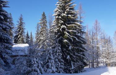 Apartament Górski Potok Murzasichle Apartamenty Murzasichle PL - Foto 67