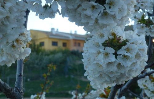 CASERIO INAZARES - CASAS DE MONTAÑA CON CHIMENEA Y NIEVe - Foto 31