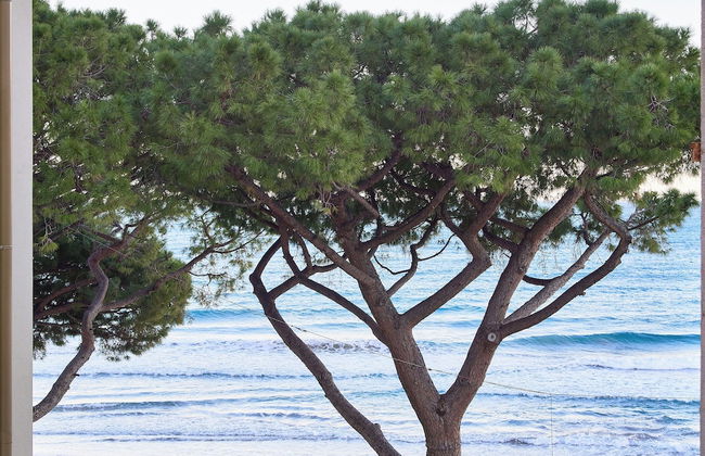 Acquamarina - Photo 51