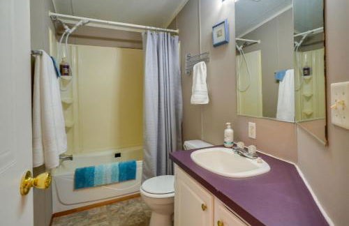 Tennessee Vacation Rental about 2 Mi to Windrock Park! - Foto 18