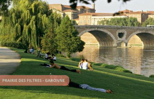 T2 Calme absolu - Coeur Toulouse - Saint Cyprien - climatisation - Terrasse arborée - Foto 45