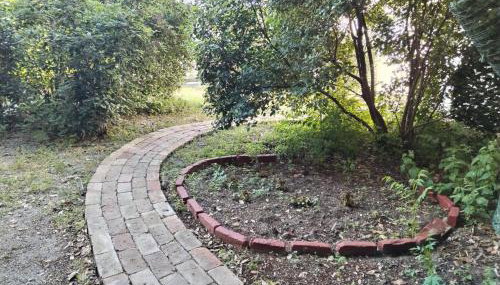 Garden in the center - Photo 3, Garden