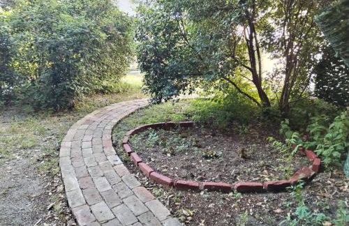 Garden in the center - Photo 3