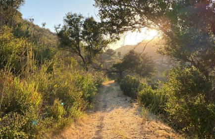 Malibu Ranch Guest House Hideway - Foto 33