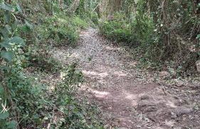 LA BRISA - Foto 49