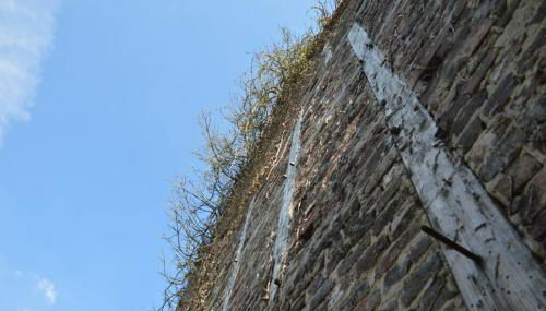 Ganze Wohnung - schönes und helles Loft in Kreuzau - Foto 5