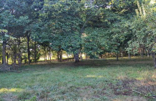 Casa Moucheiro - Foto 31