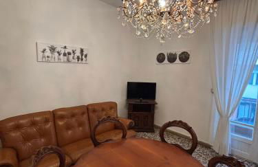 Cleo Calla - Foto 14