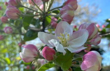 Hof Düshop - Foto 13