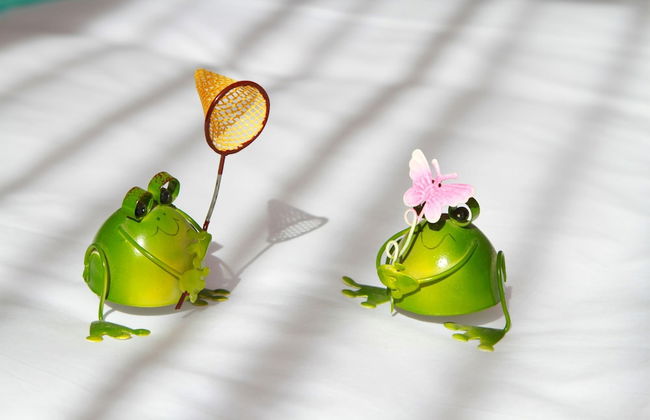 DALI Jade house - Foto 41