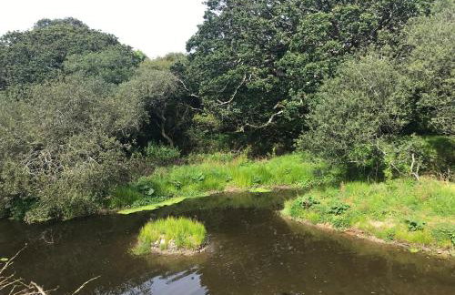 The Woodland Collection, 10 mins from beaches - Photo 40