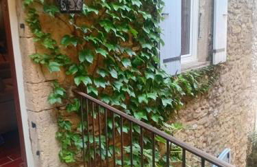 Grande maison en pierre au coeur du village provençal du XIe siecle 10 personnes - Foto 6