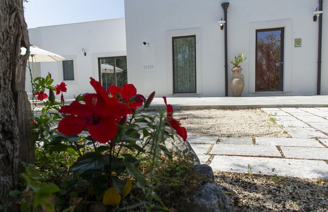 Tenuta Santa Maria - Foto 54