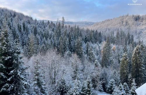 Widokownia Brenna - Foto 65