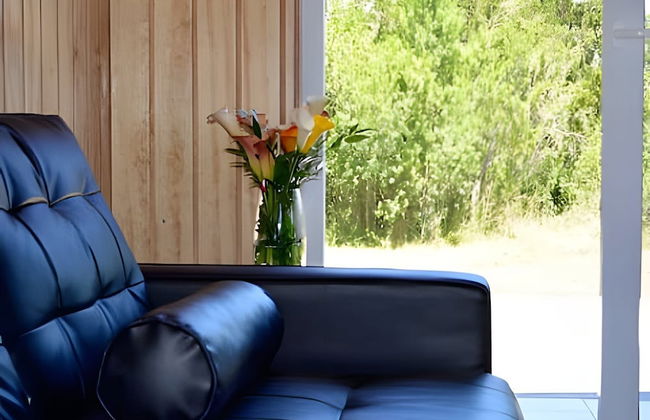 Oceana Suites Curiñanco - Foto 61