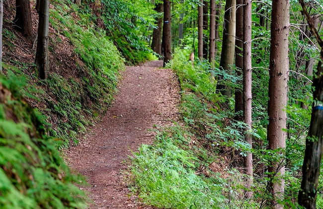 Holiday Home in SÃ¤len - Foto 6