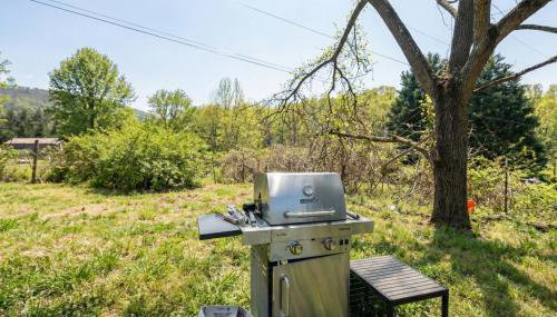 Unique Tinyhouse Retreat with BBQ Near Asheville - Foto 5