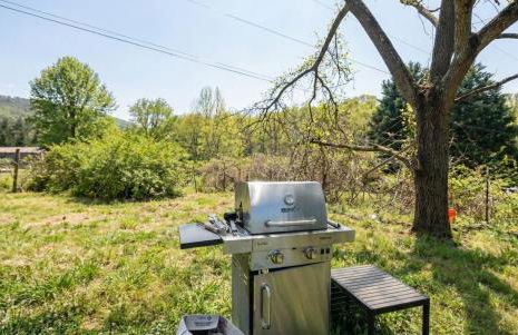 Unique Tinyhouse Retreat with BBQ Near Asheville - Foto 5