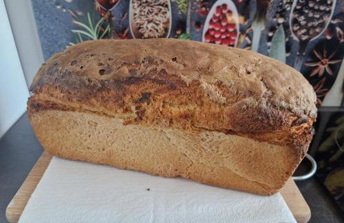 Ranczo KUFLANDIA Średnia Huta - Photo 29