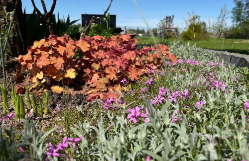 Domek wypoczynkowy Letnisko Sosenkowo - Foto 61