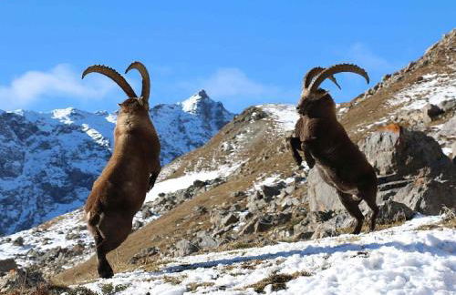 Studio Residence Le Stella - Foto 23