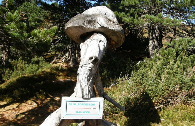 Marei-hutte Comfortable Holiday Residence - Foto 14