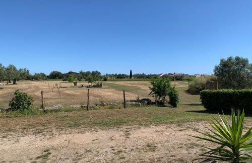 Resort Fonte Vulci - Foto 105