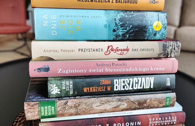 Korona Bieszczad Premium Apartments - Foto 74