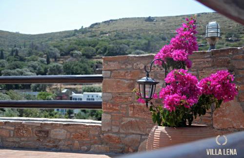 VILLA LENA - ΑΝΔΡΟΣ - Foto 2