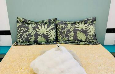 Verde Oliva Albero Limon - Photo 8