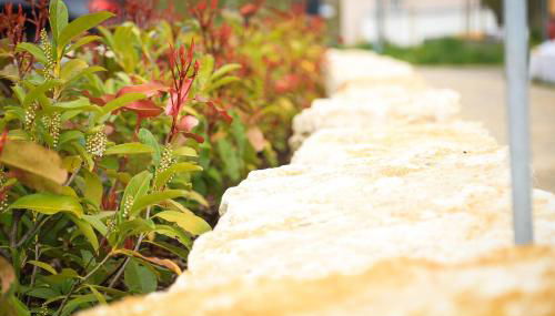 Ferienwohnung Air-Base - Playmobil, Messe, Nürnberg, Fürth, Ansbach in 20 Minuten erreichbar - Foto 4, Garden