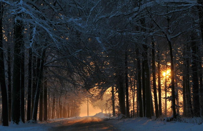 Holiday Home in Somme-leuze With Valley View - Photo 24