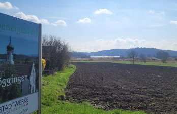 Seeschwalbe - Foto 20