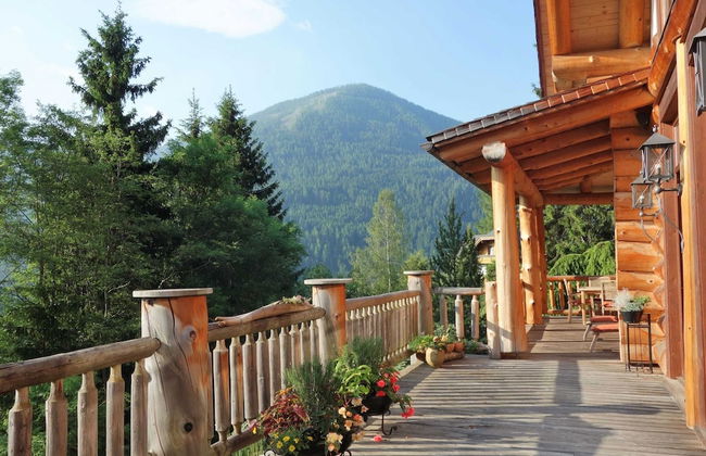 Chalet in Bad Kleinkirchheim With 2 Saunas - Photo 11